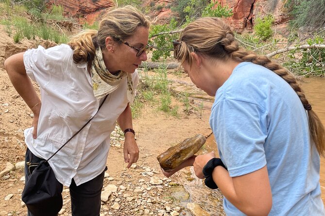 YOU DRIVE!! East Zion's Hidden Treasures - 4 Hr UTV Tour - The Driving Experience and Requirements