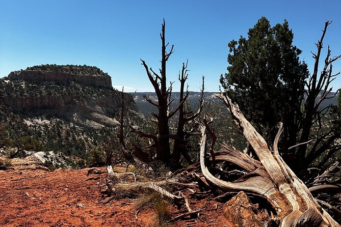YOU DRIVE!! East Zion's Hidden Treasures - 4 Hr UTV Tour - Why This Tour Fits the Right Adventure Seeker