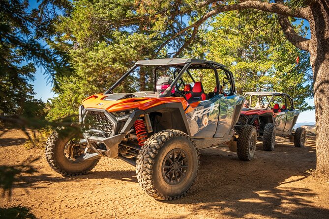 YOU DRIVE Great Chamber and Peek A Boo Slot Canyon UTV Excursion - Key Points