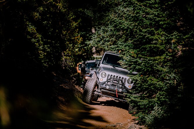 YOU Drive the Jeep! Guided 4x4 Tour in Idaho Springs (Denver) - The Thrill of Driving Argentine Pass at 13,132 Feet
