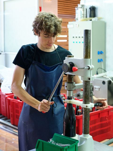 Your Cava, Your Story  Wine workshop experience at Artcava - Tasting Premium Cavas and Learning Cava Secrets