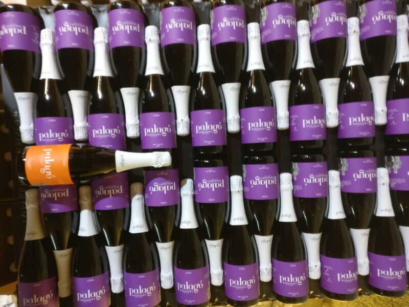 Your Cava, Your Story  Wine workshop experience at Artcava - What’s Included and What to Consider