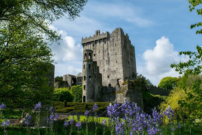 Your Irish Tour Blarney and Cork Private Day Tour - From Dublin to the Historic Rock of Cashel