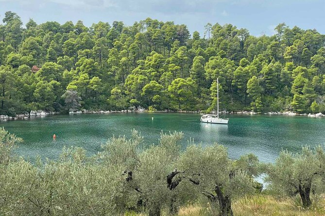 Your Mamma Mia Adventure on Skopelos Island - The Expertise of Guides Like Manolis Enhances the Experience