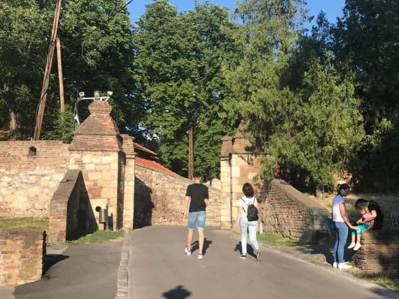 Your Own Belgrade: Private Sightseeing Tour & Hidden Gems - Street Art, Designer Districts, and Local Bars