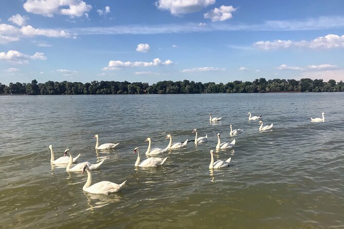 Your Own Belgrade: Unexpected Treasures of the City - Exploring Tasmajdan Park and Its Surprising Origins