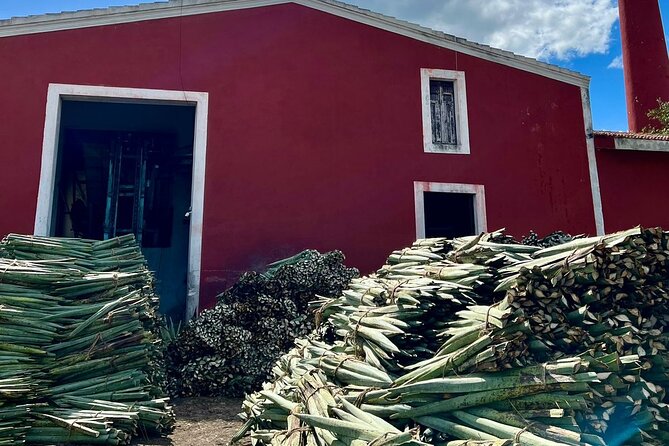 Yucatan Discovery: Motul, Hacienda, Xcambo, Xtampu & Progreso - Learning About Traditional Salt Harvesting at Xtampú