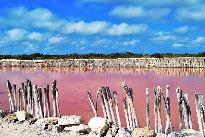 Yucatan Discovery: Motul, Hacienda, Xcambo, Xtampu & Progreso - Costs and Additional Fees