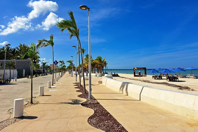 Yucatan Discovery: Motul, Hacienda, Xcambo, Xtampu & Progreso - Review Insights: The Guide, the Pacing, and the Experience