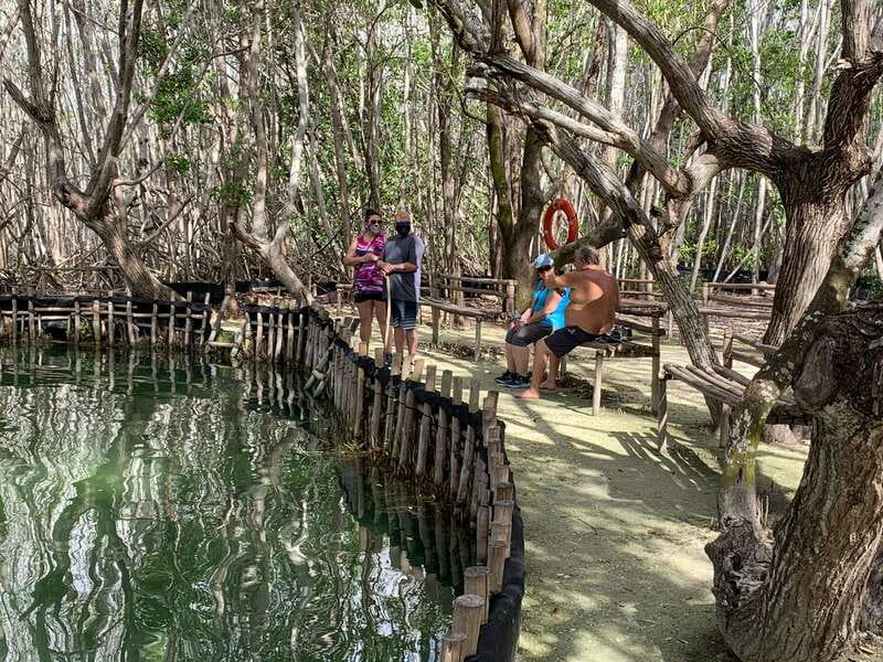 Yucatan: Get to Know the 5 Emblematic Points Experience - Visiting Corchito Ecological Reserve: Mangroves and Springs