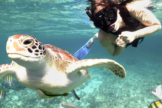 Yucatan Peninsula Full-Day Private Tour: Akumal, Tulum Ruins and Cenote Swim - Explore Tulums Majestic Ruins Overlooking the Caribbean