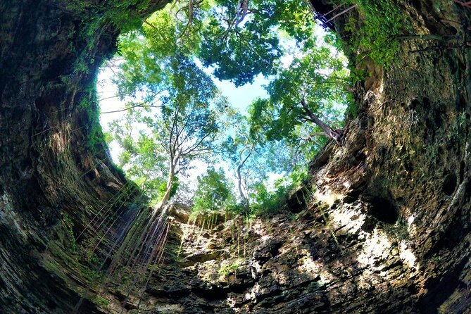 Yucatan Wonders: Ek Balam, Cenote Swim & Valladolid Tour - Swimming in Cenote Xcanché: Natural Refreshment