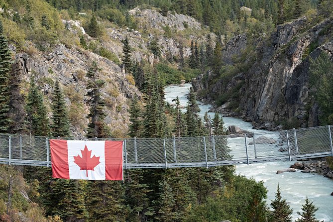 Yukon Suspension Bridge and Summit Tour - The Scenic Splendor of White Pass Summit