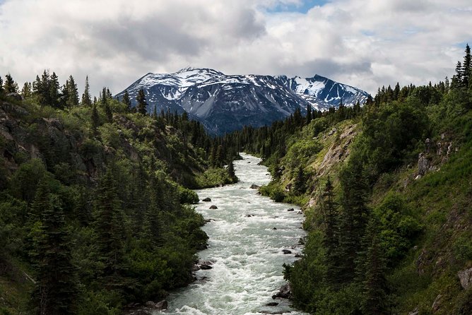 Yukon Suspension Bridge and Summit Tour - Who Will Love This Tour?