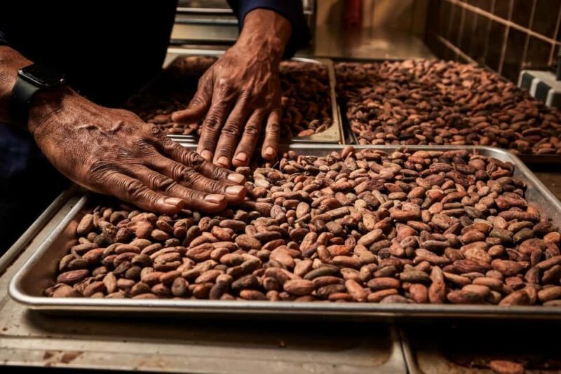 Zaandijk-Near Zaanse Schans Chocolate making demo & tasting - Frequently Asked Questions