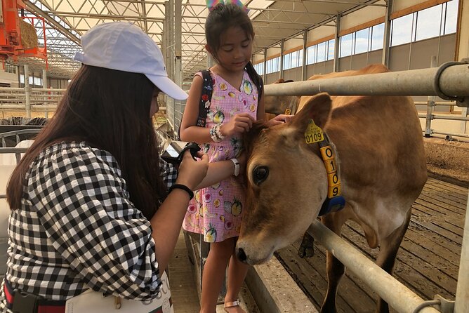Zaanse Schans Windmills, Countyside & Fishing Villages - Logistics and Convenience