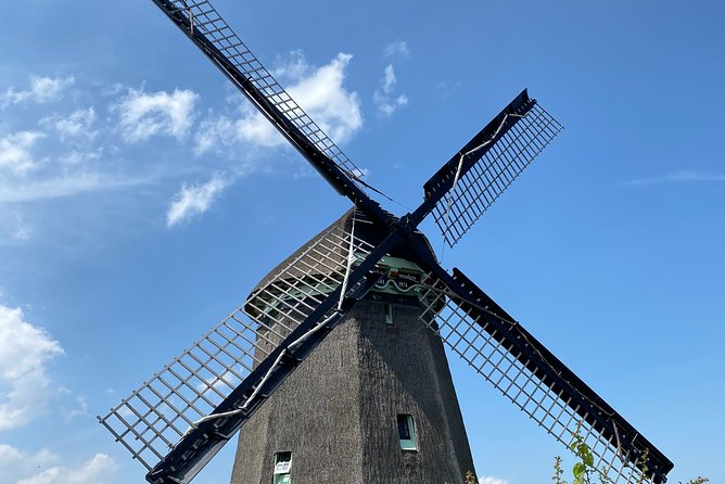 Zaanse Schans Windmills & Zaandam: Countryside Electric Bike Tour - Extended Time at Zaanse Schans Windmill Village