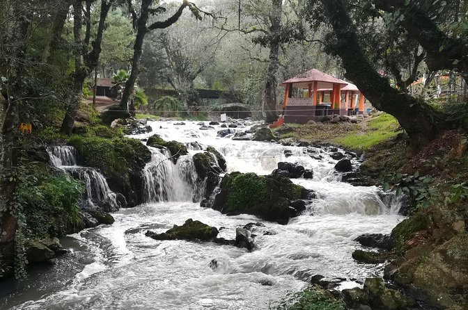 Zacatlan and Chignahuapan tour to 2 Magic Towns of Puebla - Visiting the Basilica of the Immaculate Conception: Religious Art at Its Finest