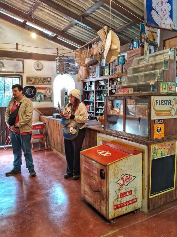 Zacatlán Guided Walking Tour of the Center - Scenic Drive and Viewpoints on the Way to Goldfinches Canyon