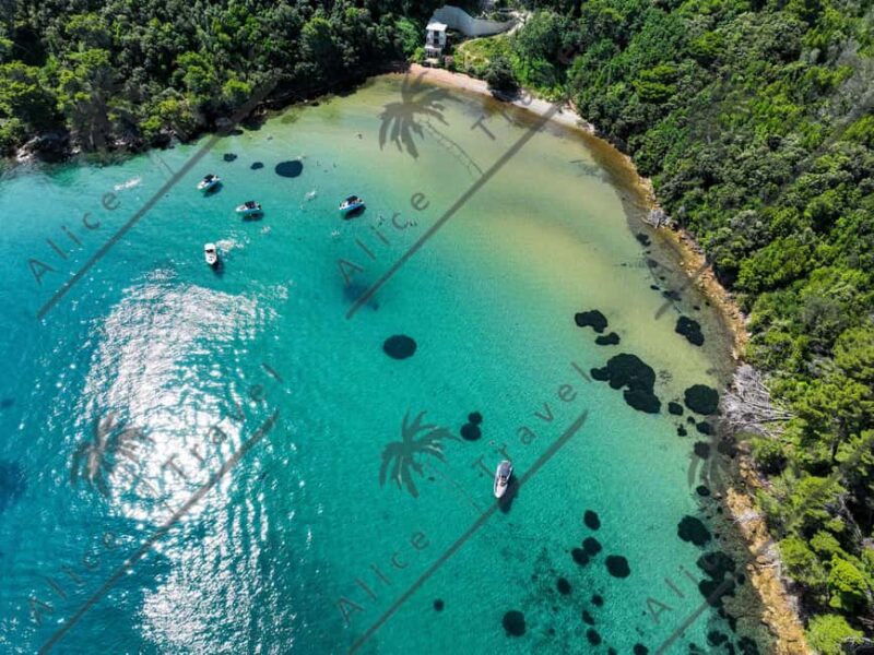 Zadar: 3 Island Speedboat Tour with Wine and Snorkeling - Key Points