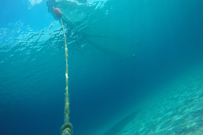 Zadar 3-Islands Tour: Snorkeling, Beach & Sightseeing - 4,5hr - Iconic Sea Organ and Seaview Sightseeing