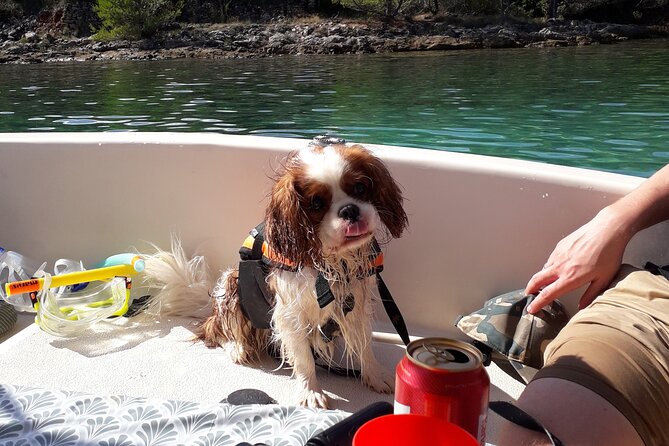 Zadar Boat Tour Half Day - Osljak Island: Swimming, Snorkeling, and Local Charms