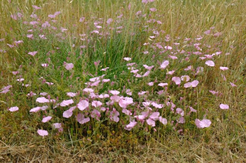 Zadar: Boat Tour to the Nearby Islands - The Practicalities of the Tour
