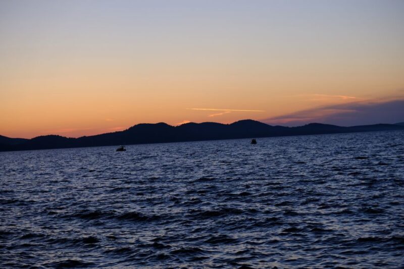 Zadar: Boat Tour to the Nearby Islands - Customer Feedback: What Makes This Tour Stand Out