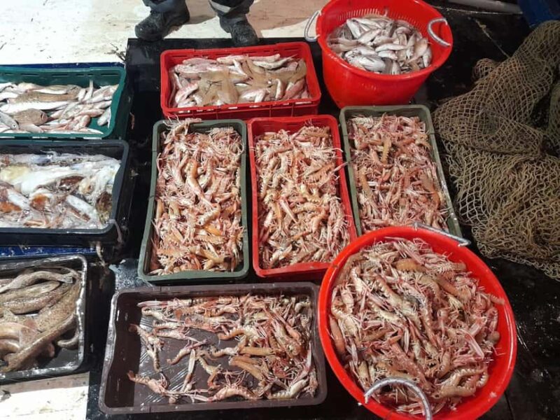 Zadar: Fishing Boat Trip with Lunch and Swimming Included - Catch Your Lunch: Fresh Fish and Meat Options