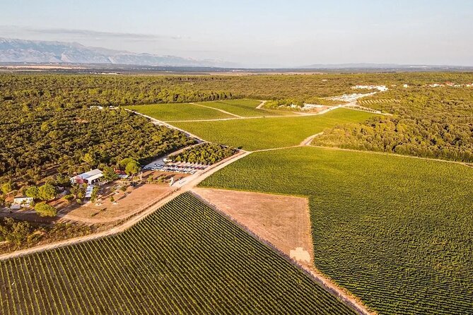 Zadar Hinterland Wine Route - Kraljevski Vinogradi: The Scenic Hilltop Vineyard