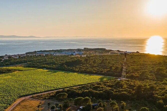 Zadar Hinterland Wine Route - Frequently Asked Questions