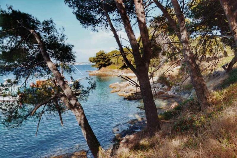 Zadar: Island cruise with drinks, snorkeling and kayaking - Physical Requirements and Suitability