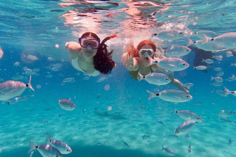 Zadar: Island-Hopping, Swimming & Snorkeling SpeedBoat Tour - Visiting the Smallest Croatian Inhabited Island: Oljak