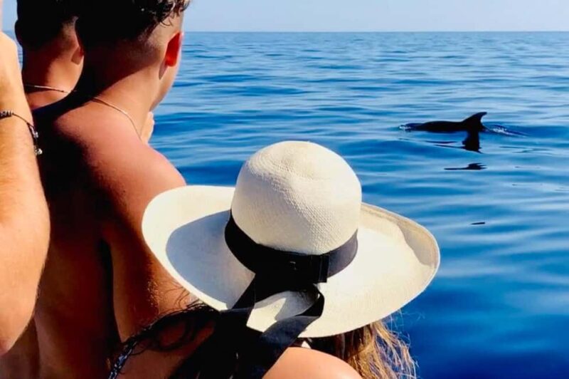 Zadar: Island-Hopping, Swimming & Snorkeling SpeedBoat Tour - The Experience with a Small Group and Personal Touch