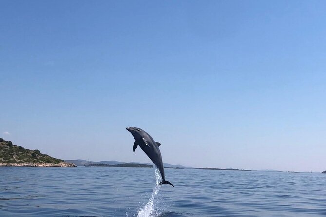 Zadar: Island Luxury Speedboat Tour with Snorkeling - Logistics and Group Size