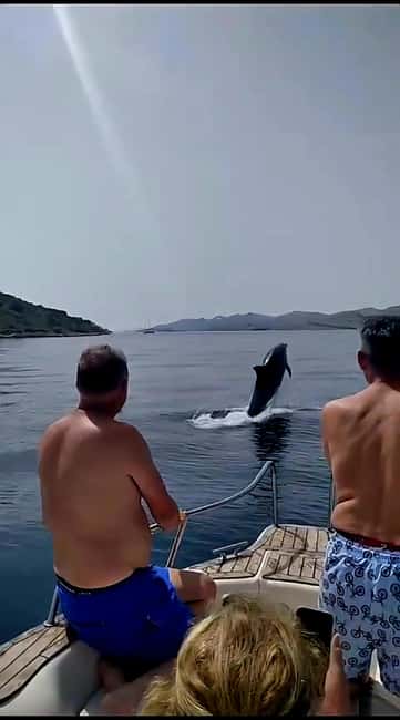 Zadar: Islands & Lagoons Tour with Drinks and ECO fruits... - Highlights of the Speedboat Adventure in Dalmatia