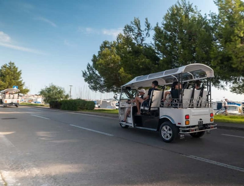 Zadar: Panorama Eco Tuk Tuk Tour - Walking Through Ancient History at the Roman Forum