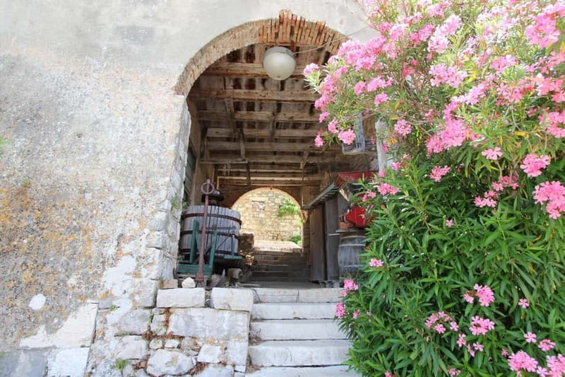 Zadar: Private SpeedBoat Tour to Islands - Drinks Included - Practical Details: Group Size, Timing, and Accessibility