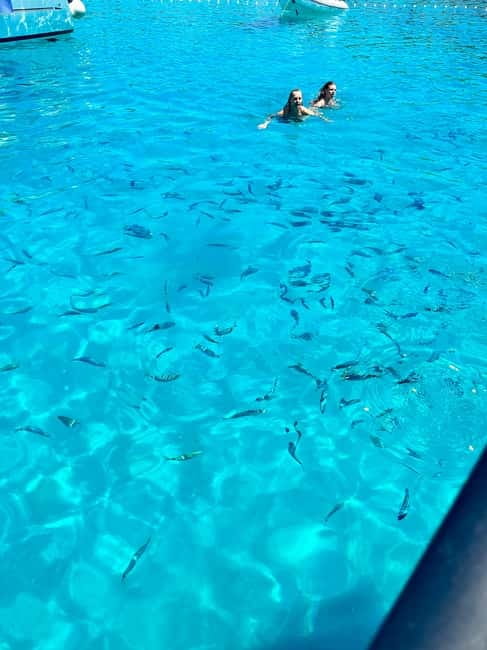 Zadar: Relaxing island getaway by speedboat with wine& fruit - Who Will Love This Zadar Speedboat Tour