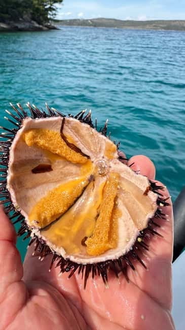 Zadar: Sakarun beach and sunken ship Michelle - Key Points