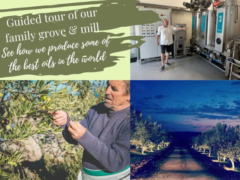 Zadar: Scenery, Oil, Wine, Food, History. Croatia in a day - Kamenjak Nature Park and Kornati Views