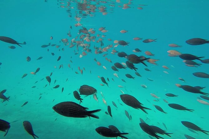 Zadar: Shipwreck Dive, Sandy Beach, Lighthouse & Island Tour - Relaxing Beach Time at Uvala Sabua Lagoon