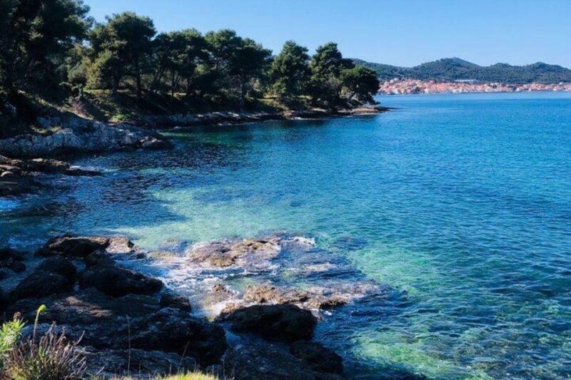 Zadar: SpeedBoat Tour to 3 Islands - Swimming & Snorkeling - Logistics and Practical Tips for Participants