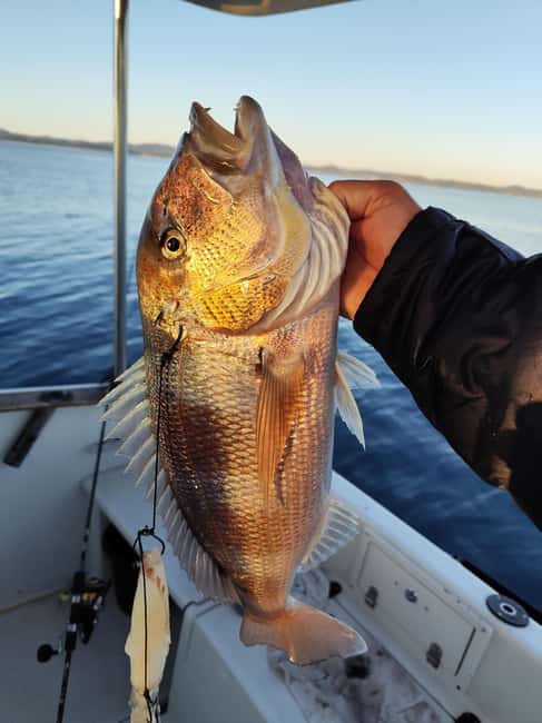 Zadar: Sunset Fishing Half-Day Guided Boat Trip - Sunset Views and Local Snacks on Board