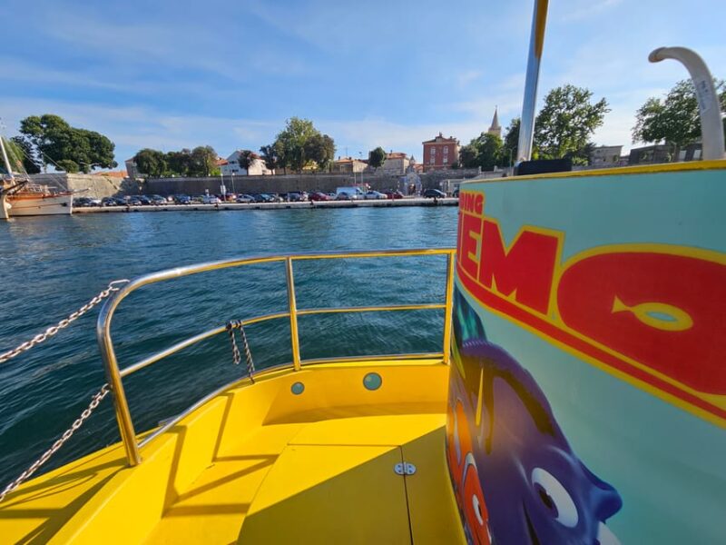 Zadar: Yellow Semi-Submarine Underwater Exploration Tour - Key Points