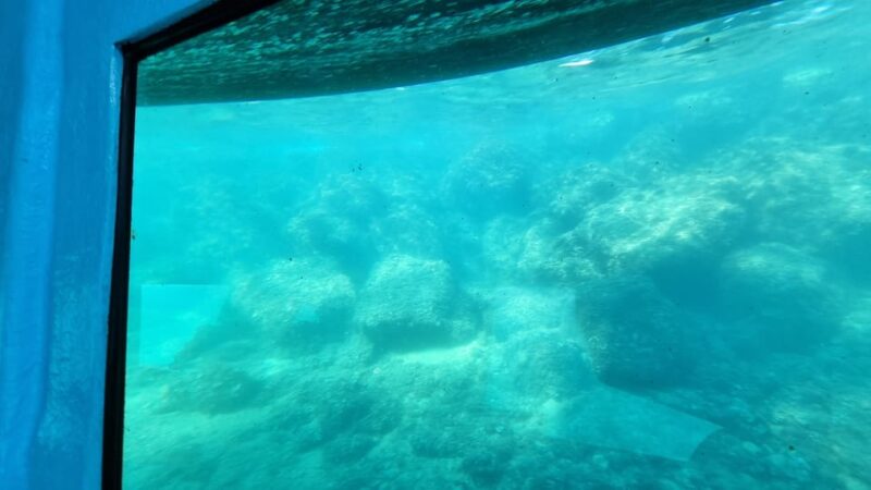 Zadar: Yellow Semi-Submarine Underwater Exploration Tour - Inside the Underwater Observatory: Close Encounters with Marine Life
