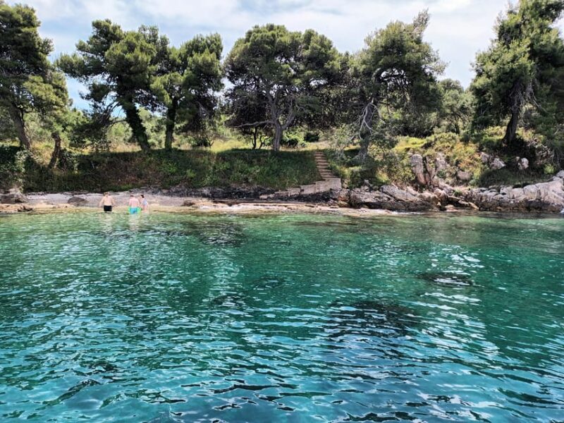 Zadar:Ugljan, Frnaa,Galevac &Oljak free beer & anchovies - Tasting Local Flavors on Board