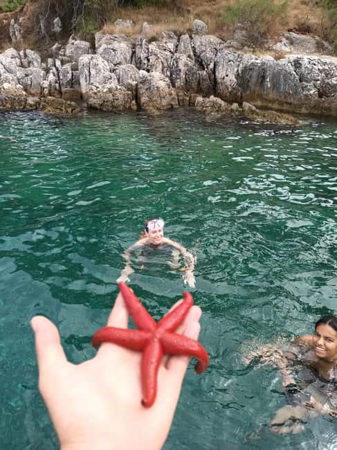 Zadar:Ugljan, Frnaa,Galevac &Oljak free beer & anchovies - The Guide and Personal Touch