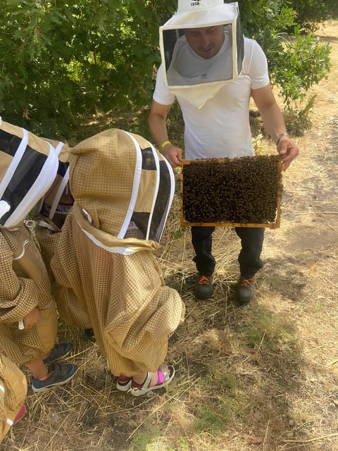 Zafferana Etnea:Honey extraction workshop and honey tasting - Close-Up Hive Observation with Safety Gear