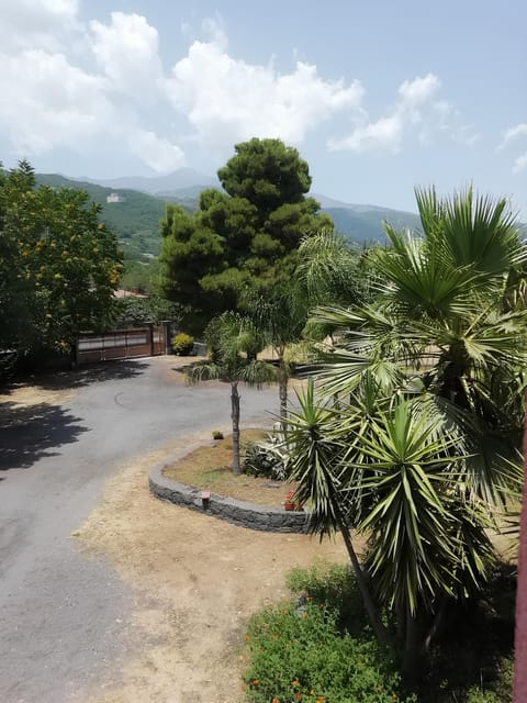 Zafferana Etnea:Honey extraction workshop and honey tasting - Meeting Point and Tour Logistics